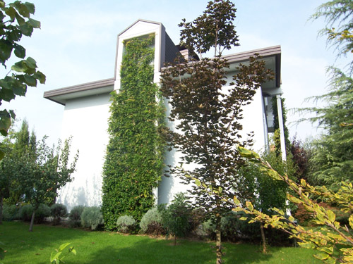 villa cairoli